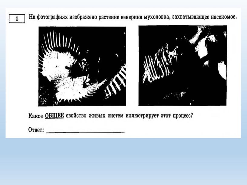 Разбор заданий №1 ОГЭ биология из сборника В.С.Рохлова