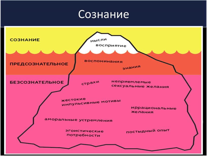 Сознание