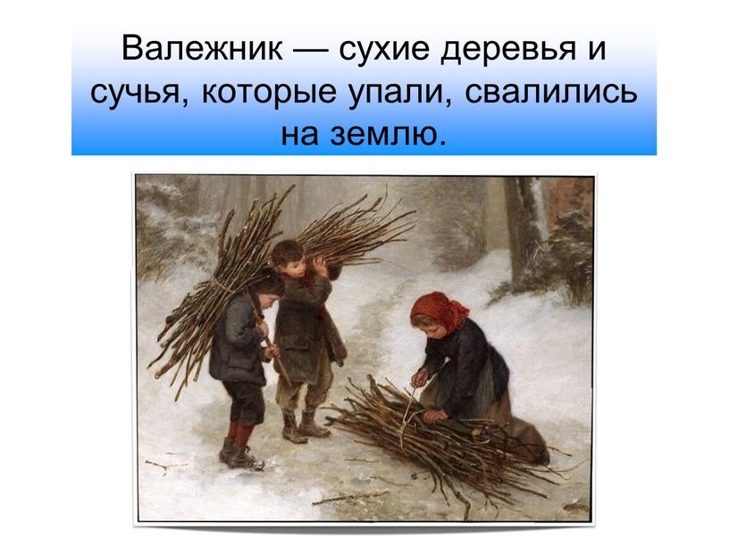 Валежник — сухие деревья и сучья, которые упали, свалились на землю