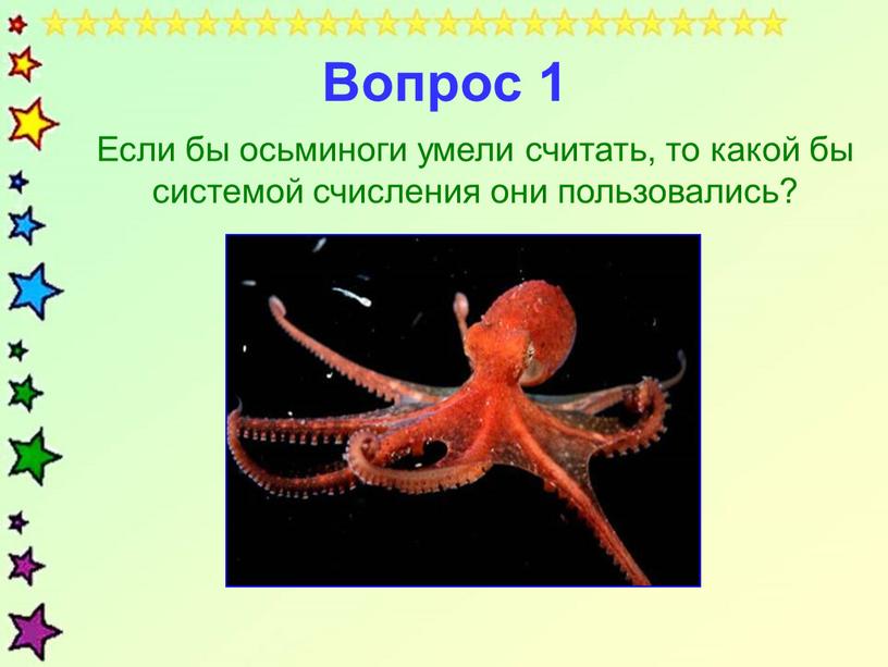 Вопрос 1 Если бы осьминоги умели считать, то какой бы системой счисления они пользовались?