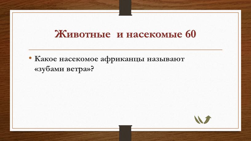 Животные и насекомые 60 Какое насекомое африканцы называют «зубами ветра»?