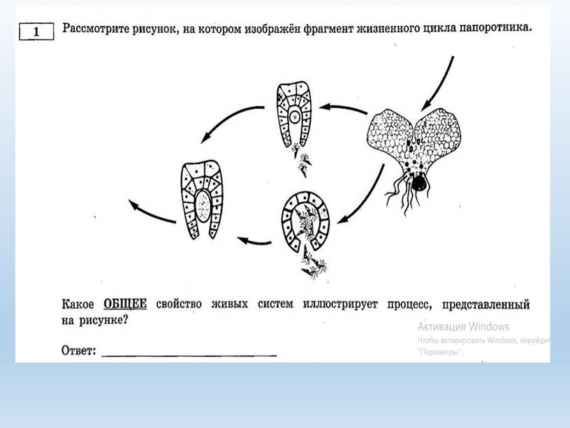 Разбор заданий №1 ОГЭ биология из сборника В.С.Рохлова