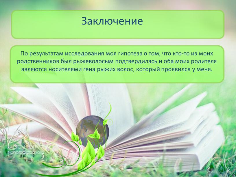 По результатам исследования моя гипотеза о том, что кто-то из моих родственников был рыжеволосым подтвердилась и оба моих родителя являются носителями гена рыжих волос, который…