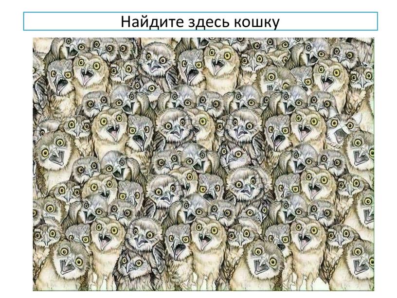 Найдите здесь кошку