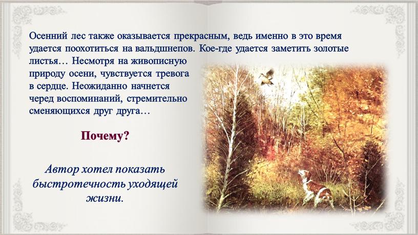 Осенний лес также оказывается прекрасным, ведь именно в это время удается поохотиться на вальдшнепов