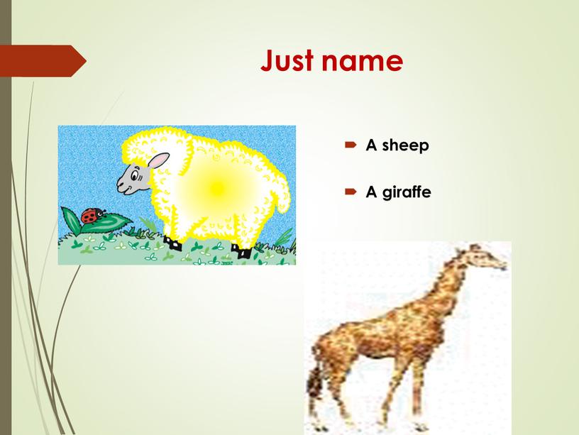 Just name A sheep A giraffe