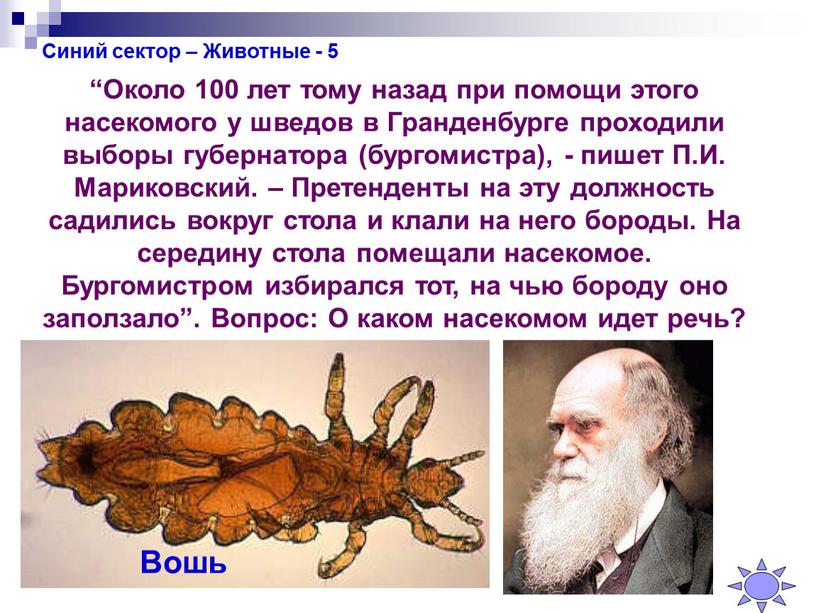 Синий сектор – Животные - 5 “Около 100 лет тому назад при помощи этого насекомого у шведов в