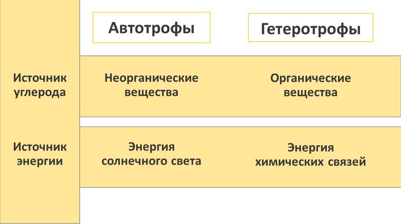 Источник углерода Автотрофы Гетеротрофы