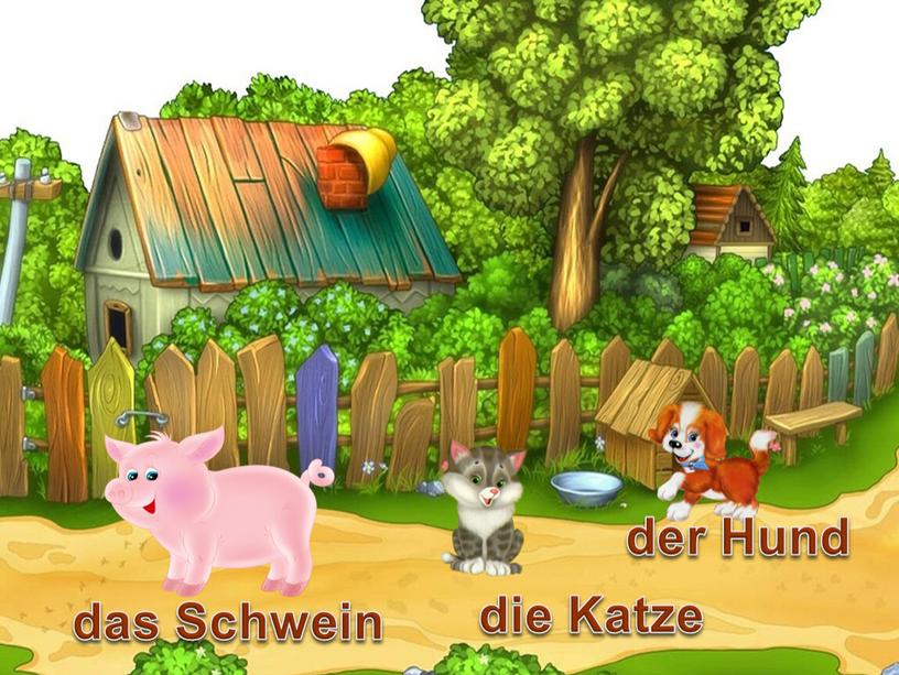 die Katze das Schwein der Hund