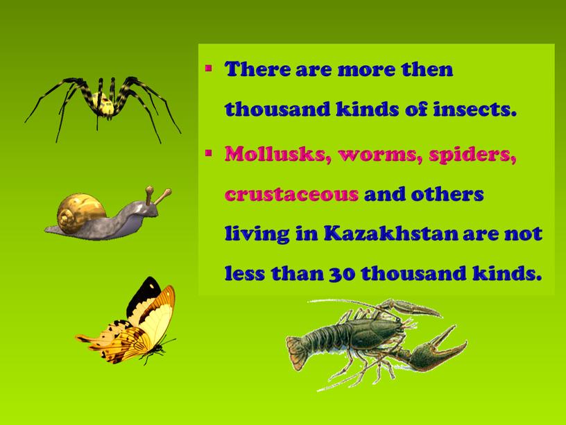 There are more then thousand kinds of insects