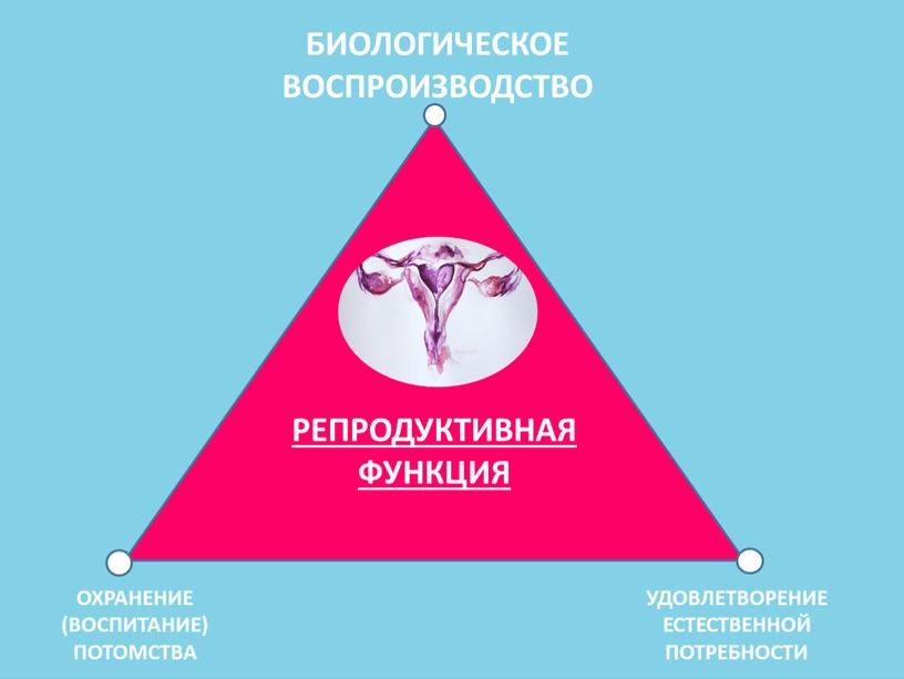 РЕПРОДУКТИВНАЯ ФУНКЦИЯ БИОЛОГИЧЕСКОЕ