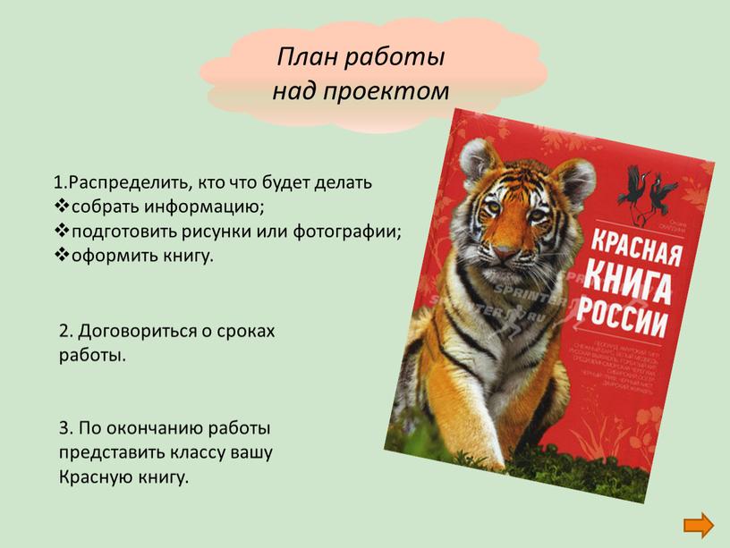 План работы над проектом 1.Распределить, кто что будет делать собрать информацию; подготовить рисунки или фотографии; оформить книгу