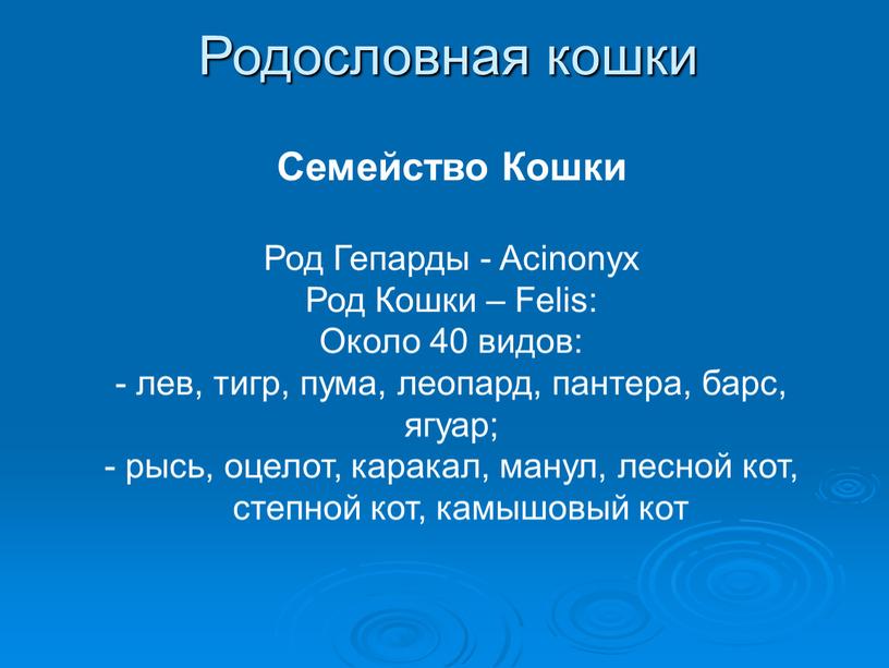 Родословная кошки Семейство