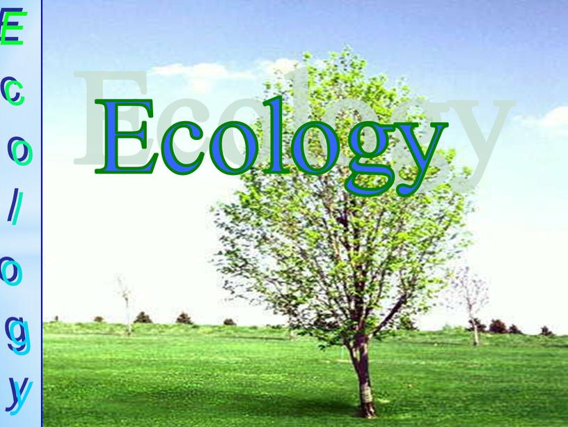 Ecology Ecology