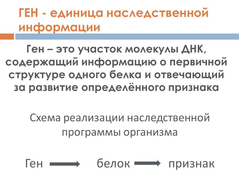 Схема реализации наследственной программы организма