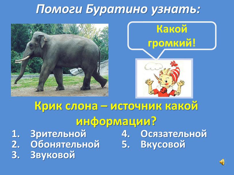 Крик слона – источник какой информации?