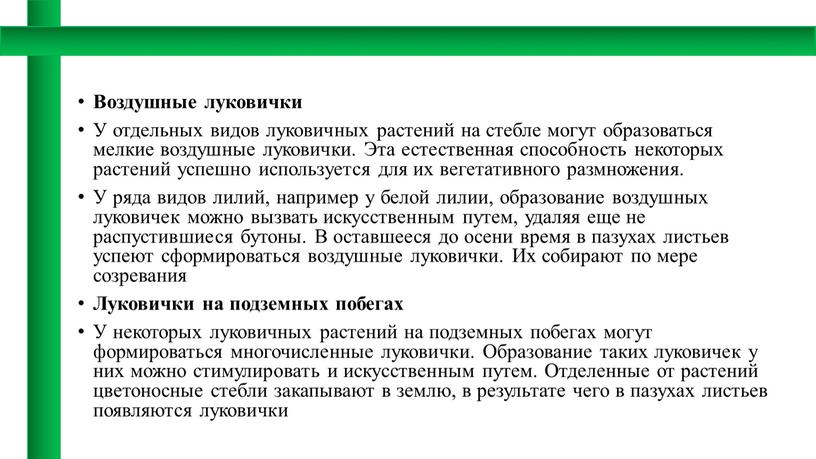 Воздушные луковички У отдельных видов луковичных растений на стебле могут образоваться мелкие воздушные луковички