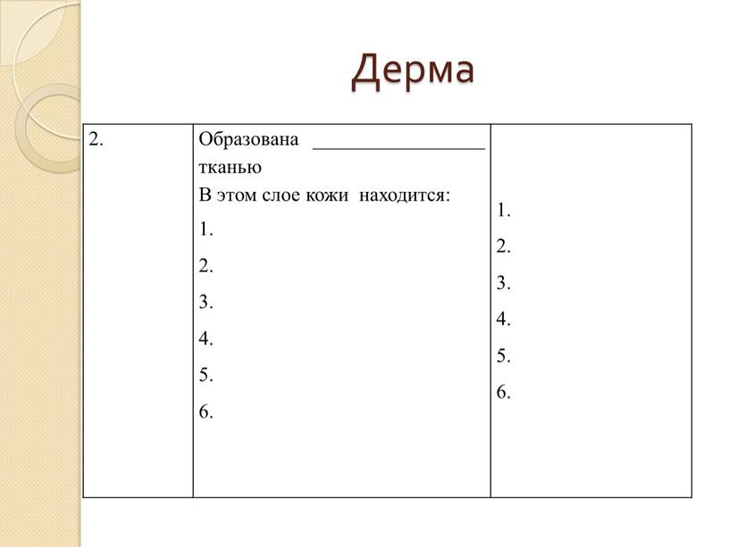 Дерма 2. Образована _________________ тканью