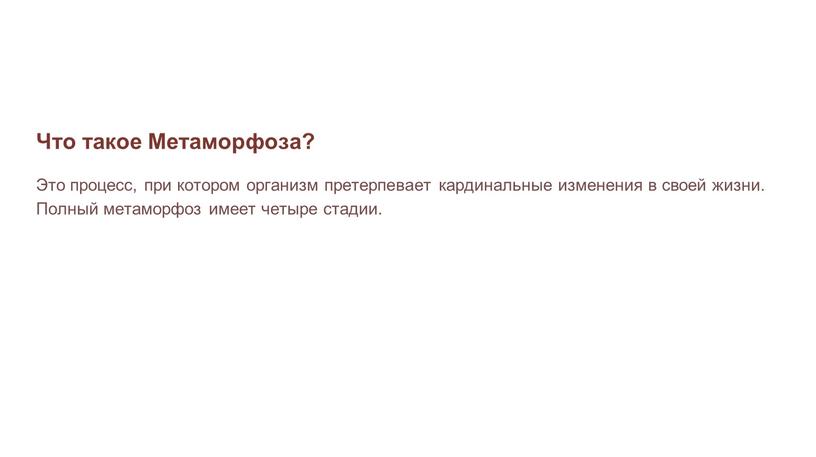 Что такое Метаморфоза? Это процесс, при котором организм претерпевает кардинальные изменения в своей жизни