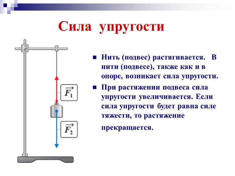 Сила упругости Нить (подвес) растягивается