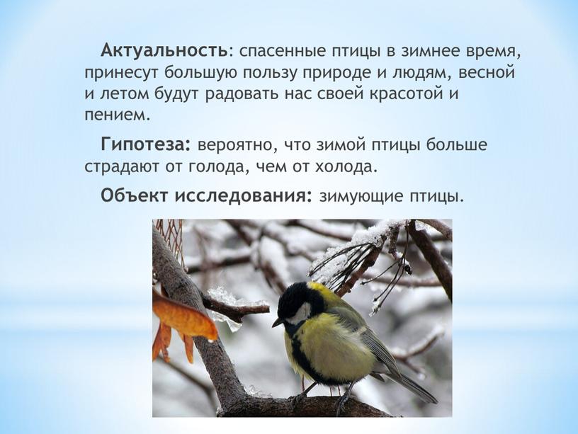 Актуальность : спасенные птицы в зимнее время, принесут большую пользу природе и людям, весной и летом будут радовать нас своей красотой и пением