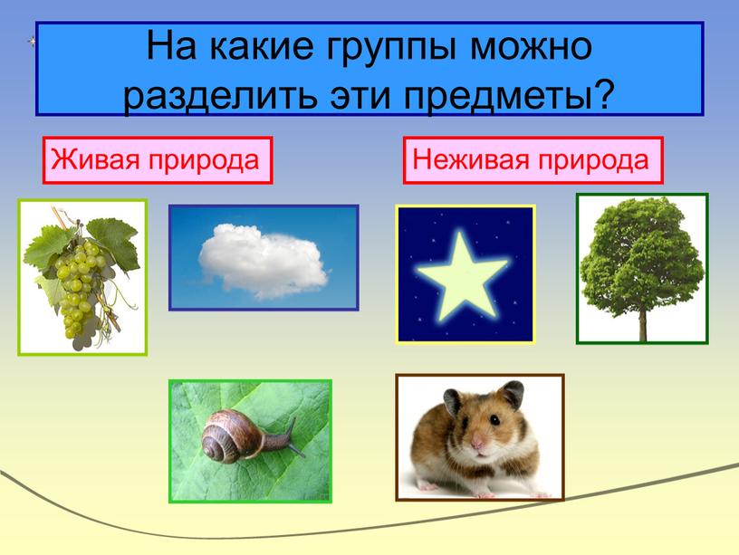 На какие группы можно разделить эти предметы?