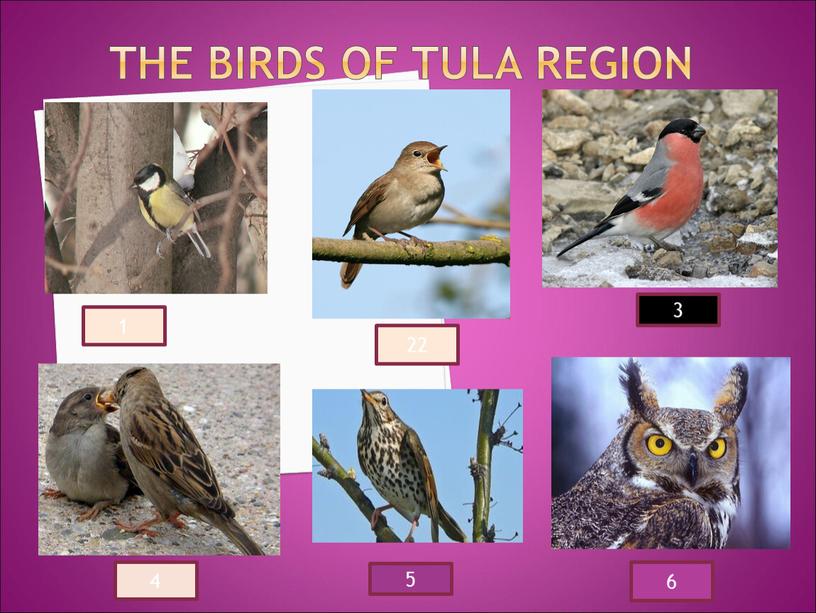 THE BIRDS OF TULA REGION 22 3 6 5 4 1