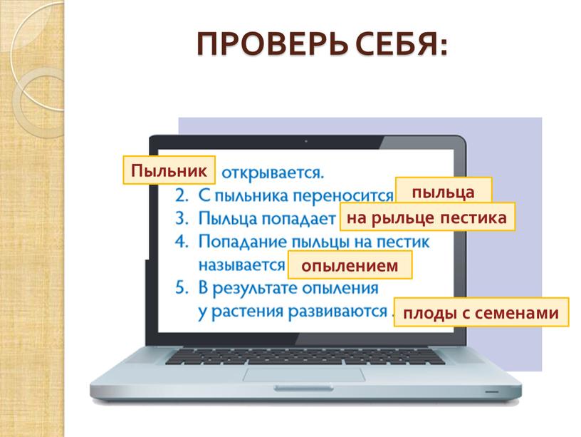 ПРОВЕРЬ СЕБЯ: Пыльник пыльца на рыльце пестика опылением плоды с семенами