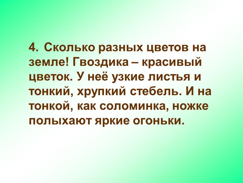 Сколько разных цветов на земле!