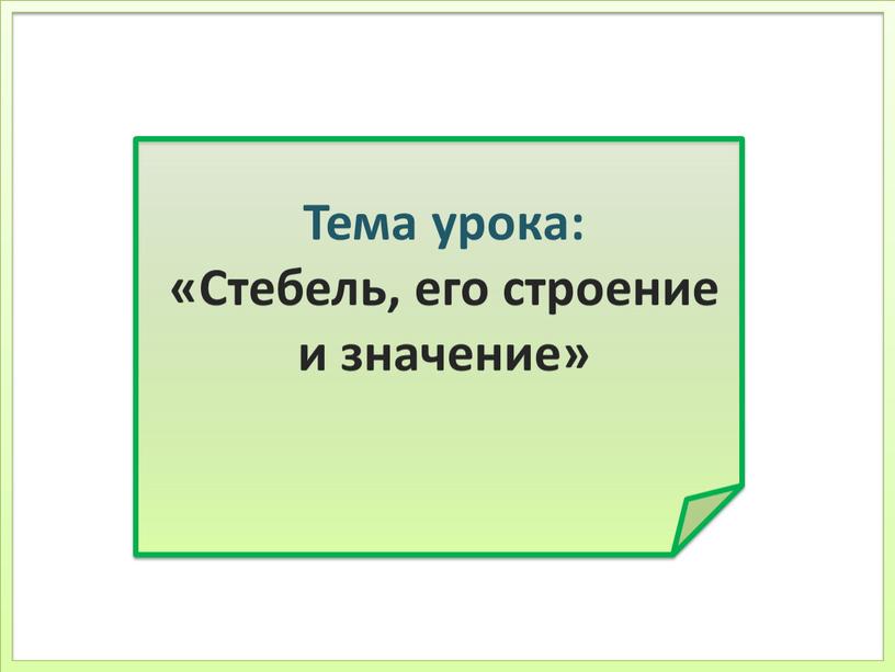 Тема урока: «Стебель, его строение и значение»