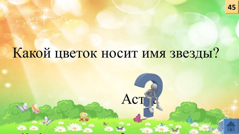 Какой цветок носит имя звезды?