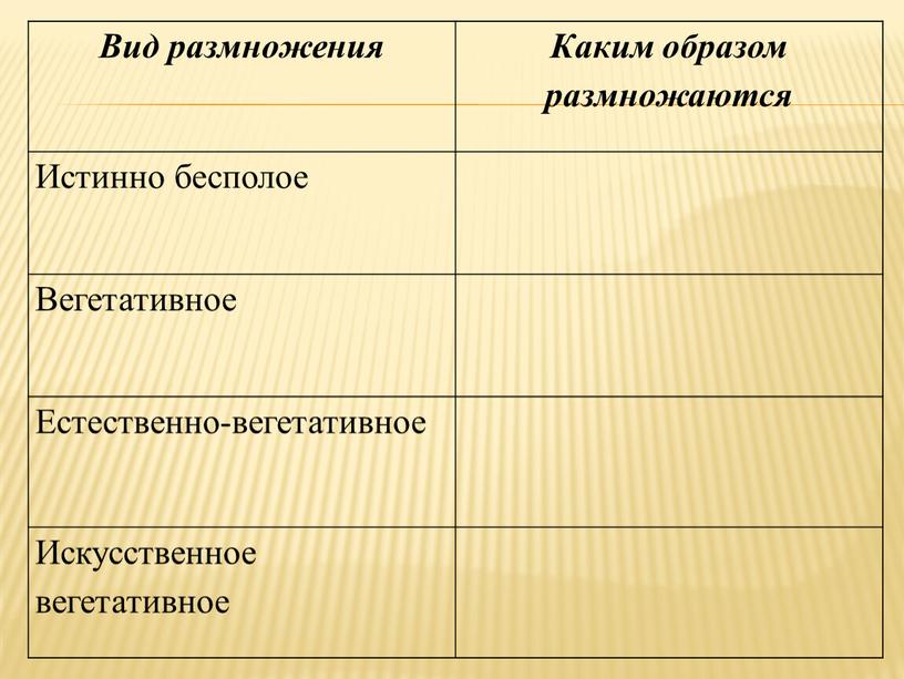 Вид размножения Каким образом размножаются