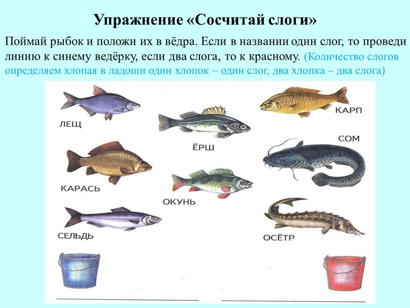 Название рыб с одним слогом. Рыба на букву р. Название рыбы на букву с. Название рыбы на слог на.