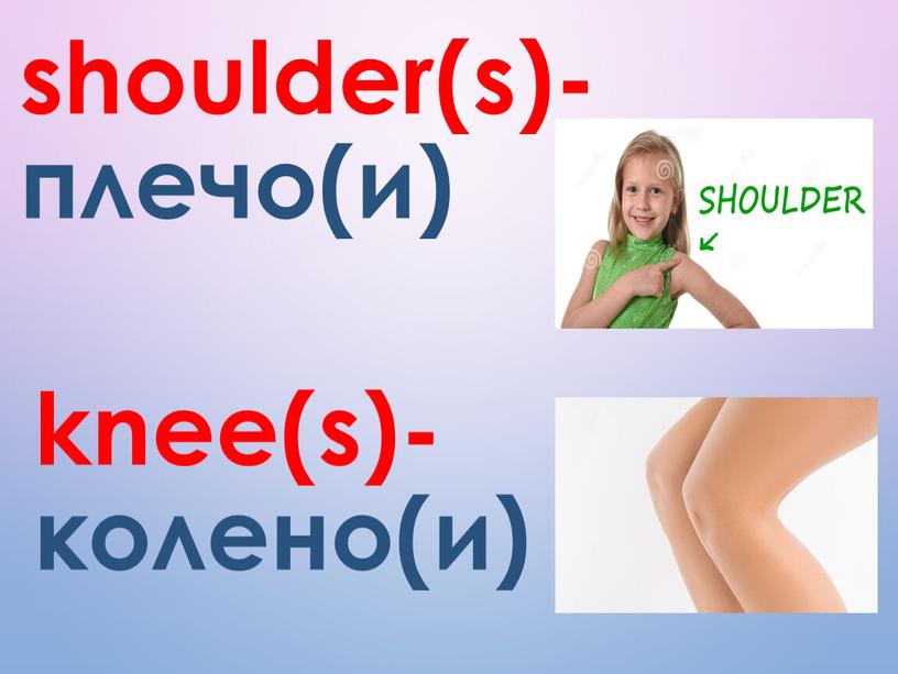 shoulder(s)- плечо(и) knee(s)- колено(и)