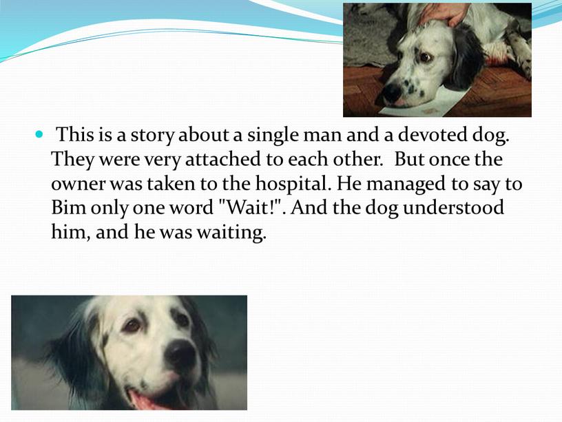 This is a story about a single man and a devoted dog