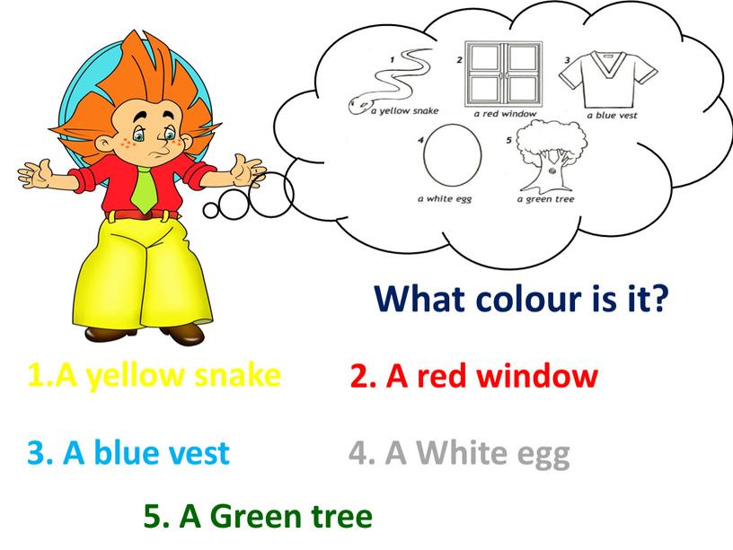 A yellow snake What colour is it? 2