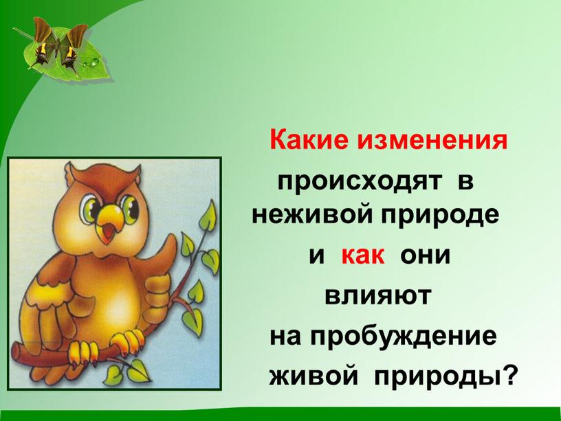 Какие изменения происходят в неживой природе и как они влияют на пробуждение живой природы?