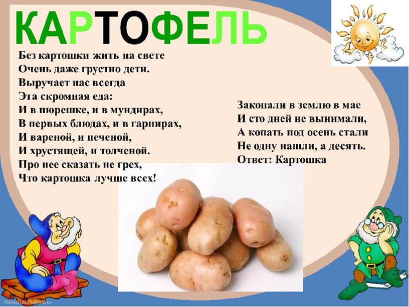 Презентация на тему: "Что растёт на огороде?"