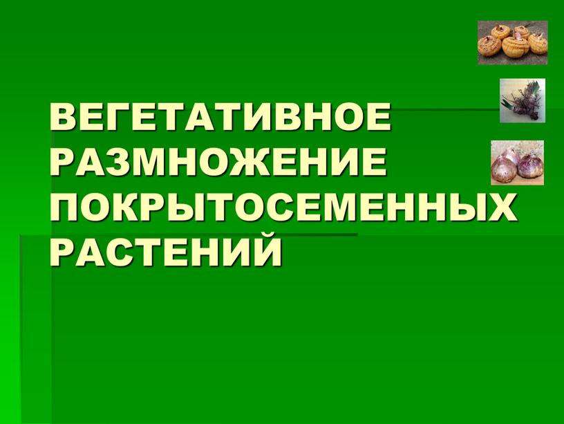 ВЕГЕТАТИВНОЕ РАЗМНОЖЕНИЕ ПОКРЫТОСЕМЕННЫХ