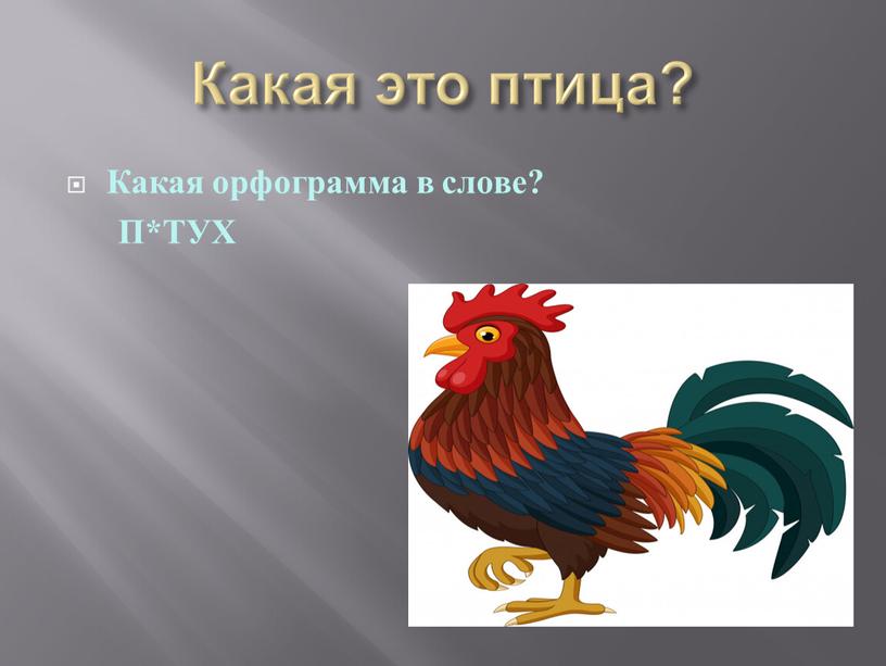 Какая это птица? Какая орфограмма в слове?