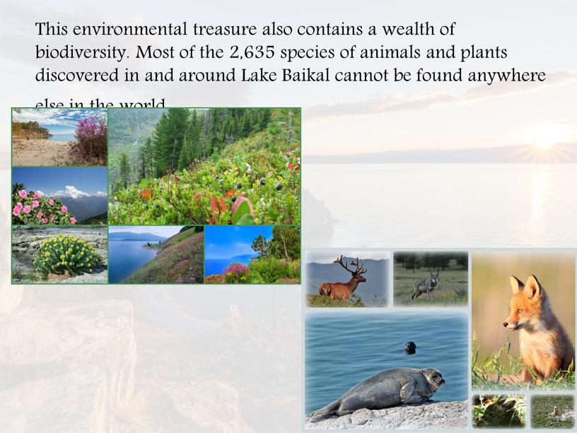 This environmental treasure also contains a wealth of biodiversity