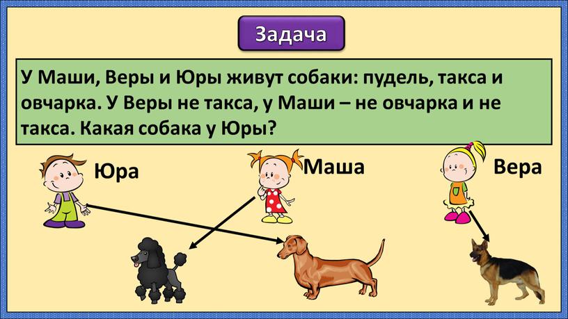 Задача У Маши, Веры и Юры живут собаки: пудель, такса и овчарка