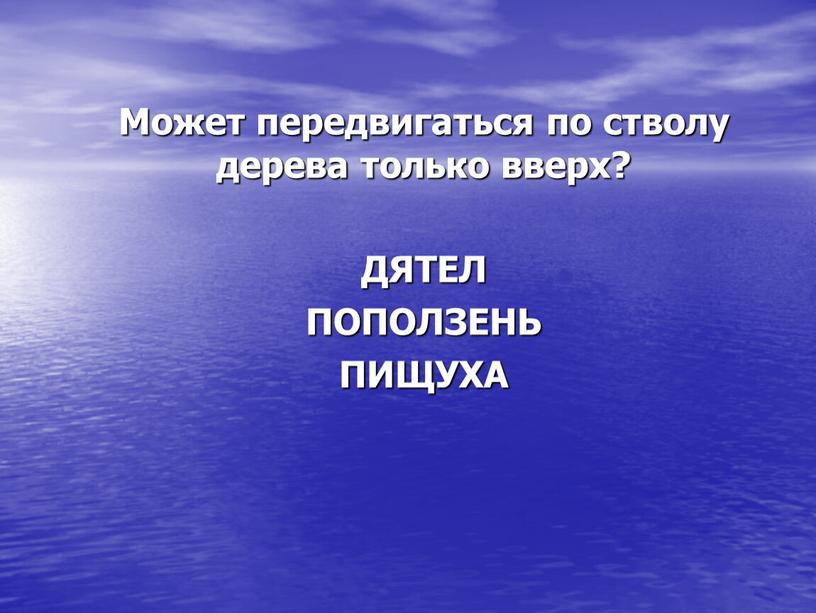 Может передвигаться по стволу дерева только вверх?