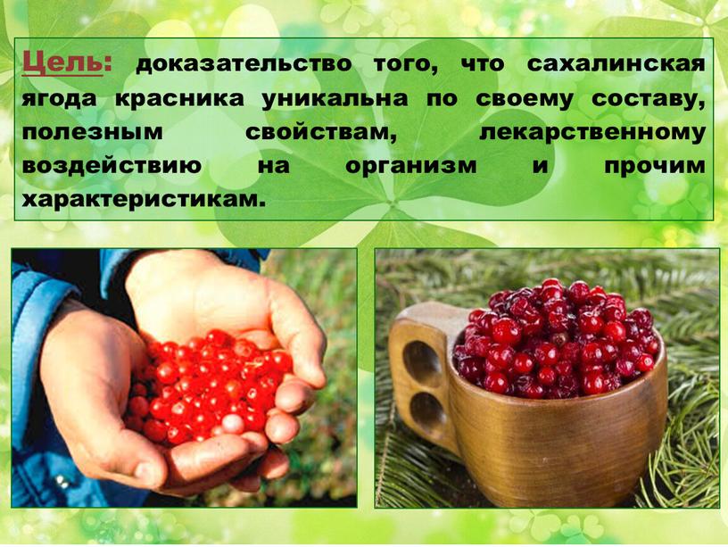 Цель : доказательство того, что сахалинская ягода красника уникальна по своему составу, полезным свойствам, лекарственному воздействию на организм и прочим характеристикам