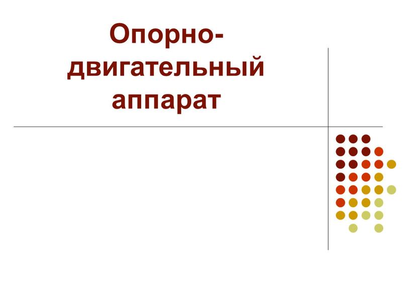 Опорно-двигательный аппарат