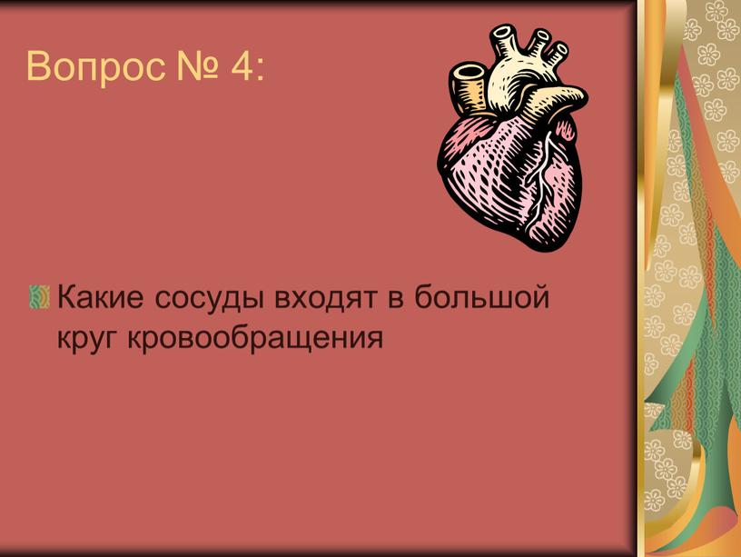 Вопрос № 4: Какие сосуды входят в большой круг кровообращения