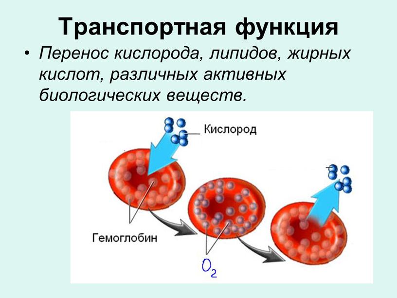 Какие вещества содержатся в объектах изображенных на остальных рисунках кислород арбуз медаль