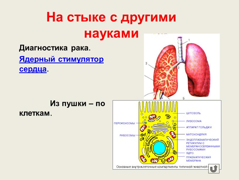 На стыке с другими науками Диагностика рака