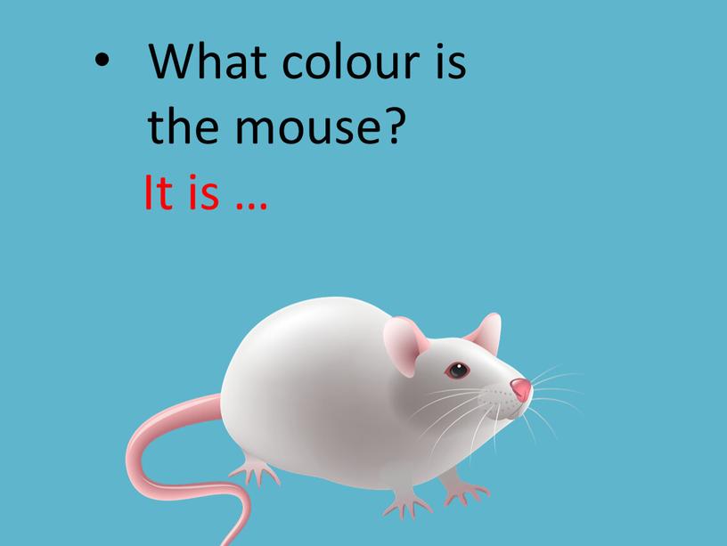 What сolour is the mouse? It is …