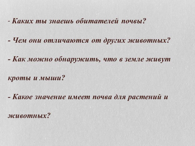 Каких ты знаешь обитателей почвы? -